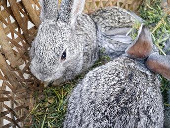 恐怖游戏《受折磨的灵魂2》预告 美女大战怪兽